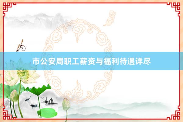 市公安局职工薪资与福利待遇详尽