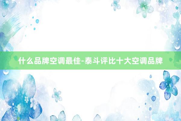什么品牌空调最佳-泰斗评比十大空调品牌